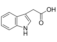 3-吲哚<em>乙酸</em>，CP，97%